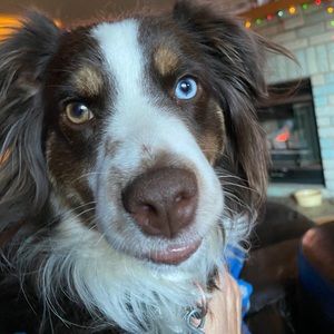 Meet your Posher, Amy